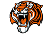 лого Амурские Тигры