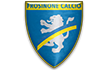 лого Фрозиноне