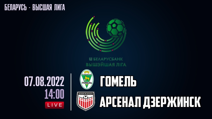 Гомель - Арсенал Дзержинск - смотреть онлайн 7 августа