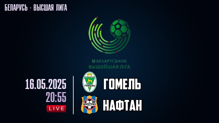 Гомель — Нафтан, прогноз матча от 16 мая 2025