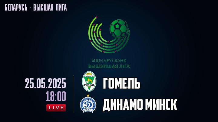 Гомель — Динамо Минск, смотреть онлайн 25 мая 2025