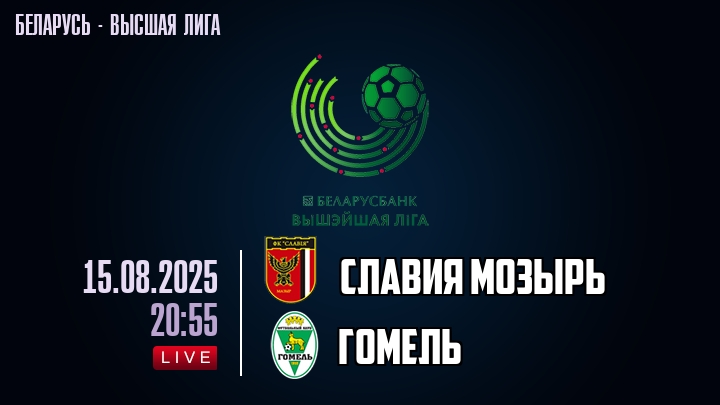 Славия Мозырь — Гомель, смотреть онлайн 15 августа 2025