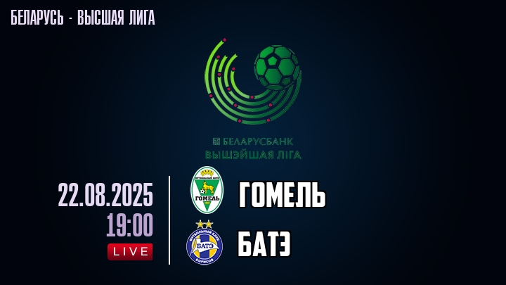 Гомель — БАТЭ, смотреть онлайн 22 августа 2025