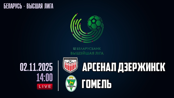 Арсенал Дзержинск — Гомель, смотреть онлайн 2 ноября 2025