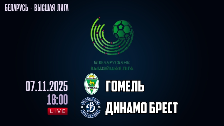 Гомель — Динамо Брест, смотреть онлайн 7 ноября 2025