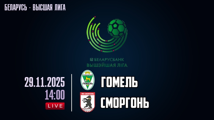 Гомель — Сморгонь, смотреть онлайн 29 ноября 2025