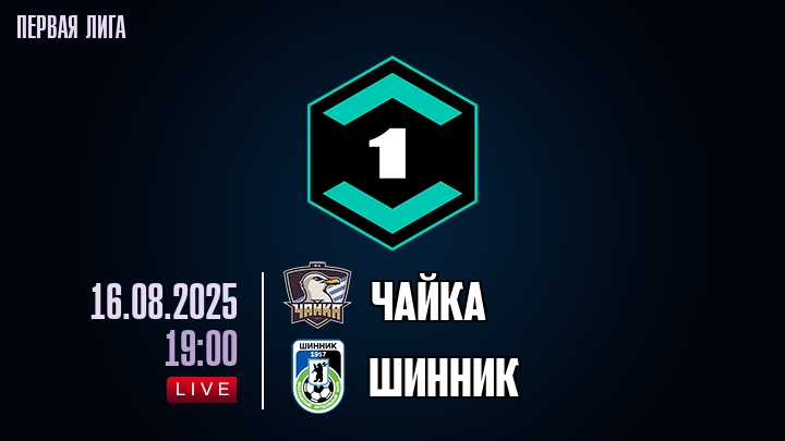 Чайка — Шинник, смотреть онлайн 16 августа 2025