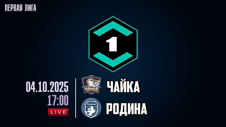 Чайка — Родина, смотреть онлайн 4 октября 2025