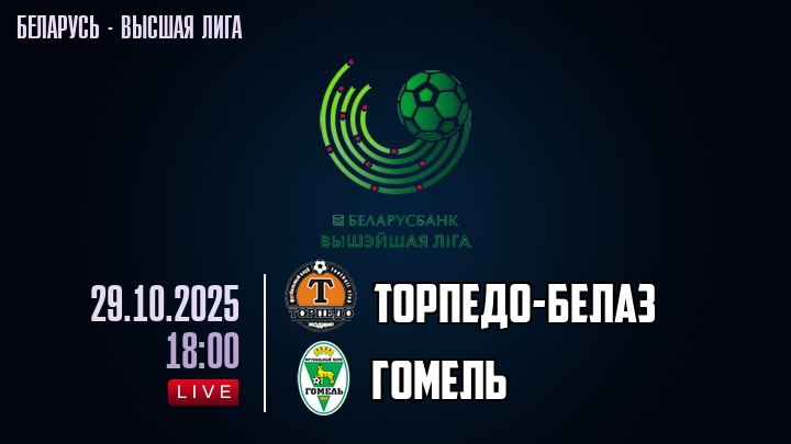 Торпедо-БелАЗ — Гомель, смотреть онлайн 29 октября 2025