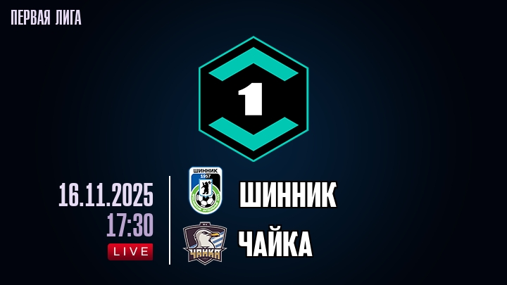 Шинник — Чайка, смотреть онлайн 16 ноября 2025