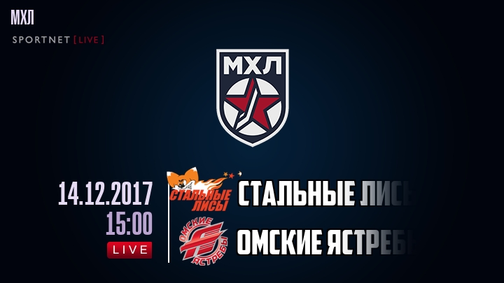 Стальные Лисы — Омские Ястребы, смотреть онлайн 14 декабря 2017