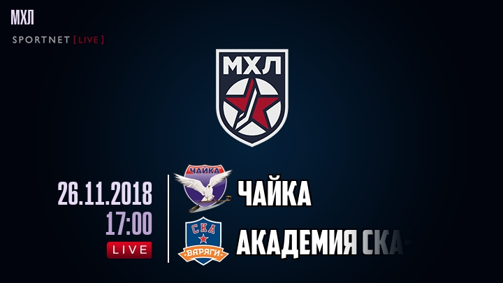 Чайка — Академия СКА-Юниор, смотреть онлайн 26 ноября 2018