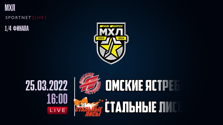 Омские Ястребы — Стальные Лисы, смотреть онлайн 25 марта 2022