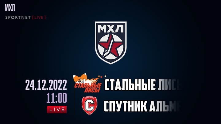 Стальные Лисы — Спутник Альметьевск, смотреть онлайн 24 декабря 2022