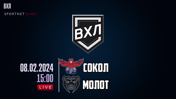 Сокол - Молот хайлайты 2024-02-08