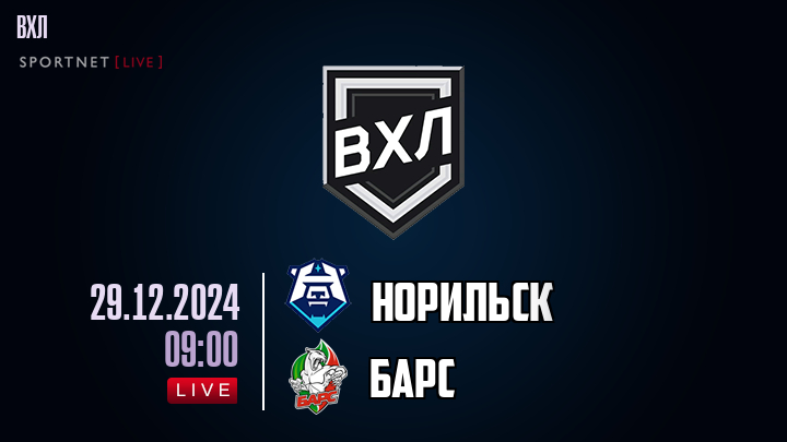 Норильск - Барс хайлайты 2024-12-29