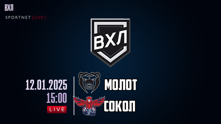 Молот - Сокол хайлайты 2025-01-12