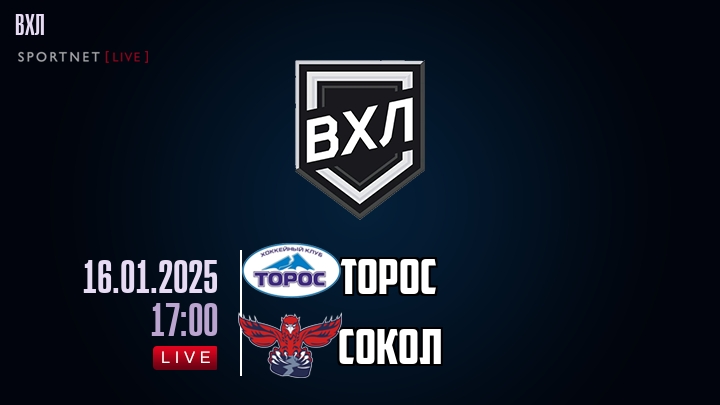 Торос - Сокол хайлайты 2025-01-16