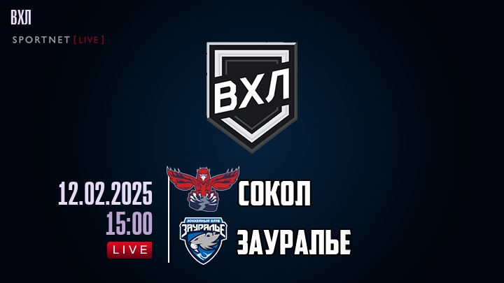 Сокол - Зауралье хайлайты 2025-02-12