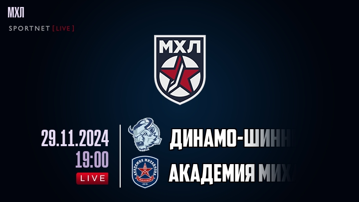 Динамо-Шинник — Академия Михайлова Юниор, смотреть онлайн 29 ноября 2024