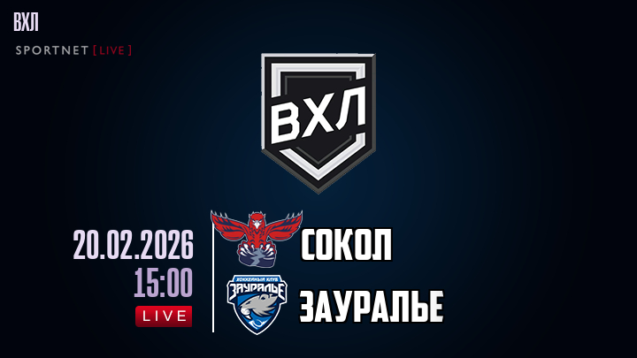 Сокол - Зауралье хайлайты 2026-02-20