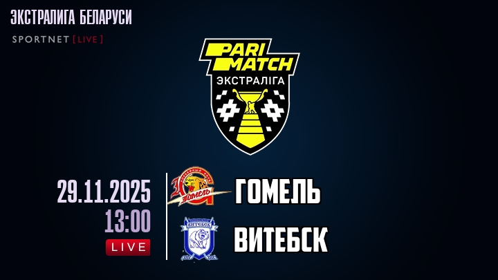 Гомель — Витебск, смотреть онлайн 29 ноября 2025