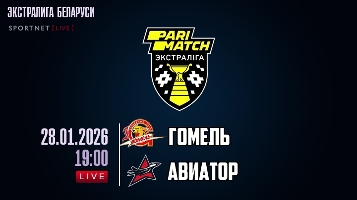 Гомель — Авиатор, смотреть онлайн 28 января 2026