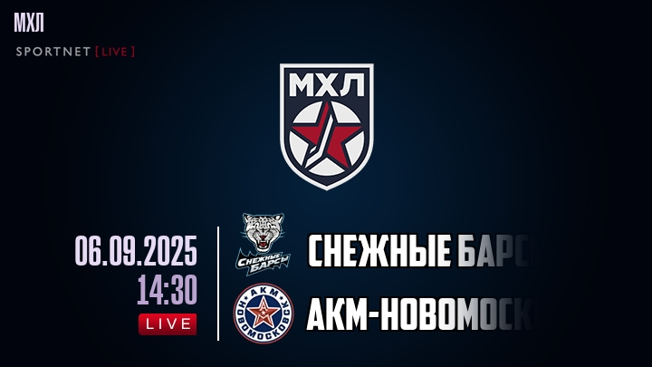 Снежные Барсы — АКМ-Новомосковск, смотреть онлайн 6 сентября 2025