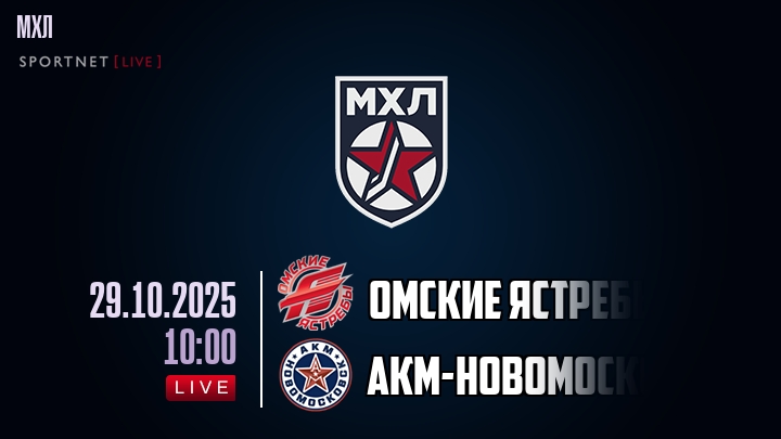 Омские Ястребы — АКМ-Новомосковск, смотреть онлайн 29 октября 2025