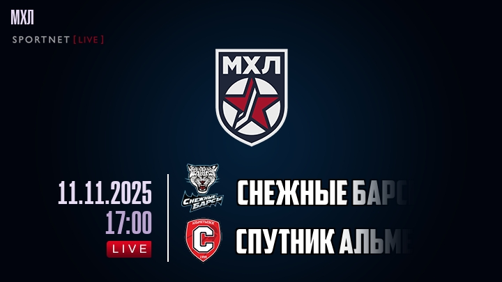 Снежные Барсы — Спутник Альметьевск, смотреть онлайн 11 ноября 2025