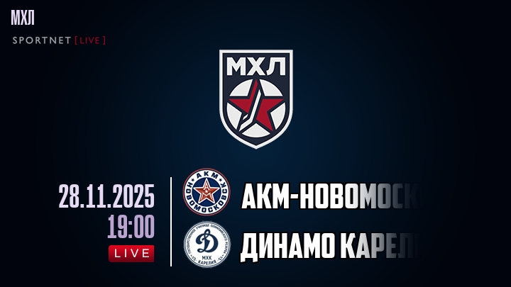 АКМ-Новомосковск — Динамо Карелия, смотреть онлайн 28 ноября 2025