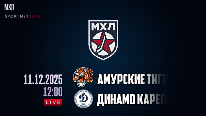 Амурские Тигры — Динамо Карелия, смотреть онлайн 11 декабря 2025