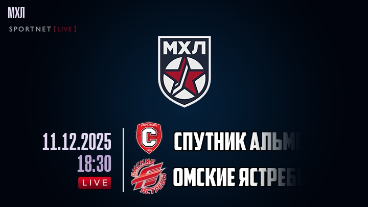 Спутник Альметьевск — Омские Ястребы, смотреть онлайн 11 декабря 2025