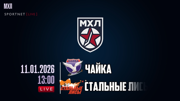 Чайка — Стальные Лисы, смотреть онлайн 11 января 2026