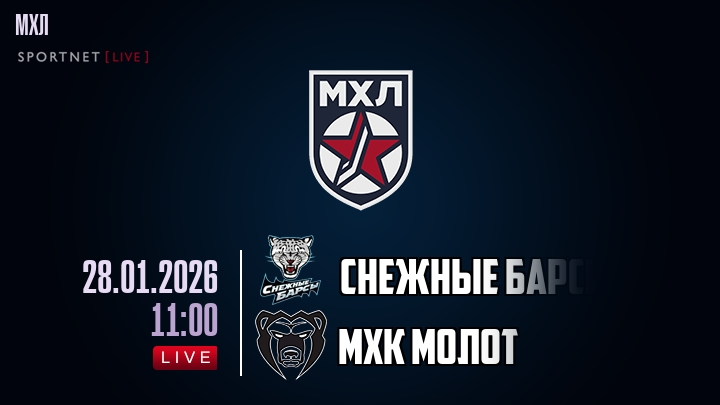 Снежные Барсы — МХК Молот, смотреть онлайн 28 января 2026