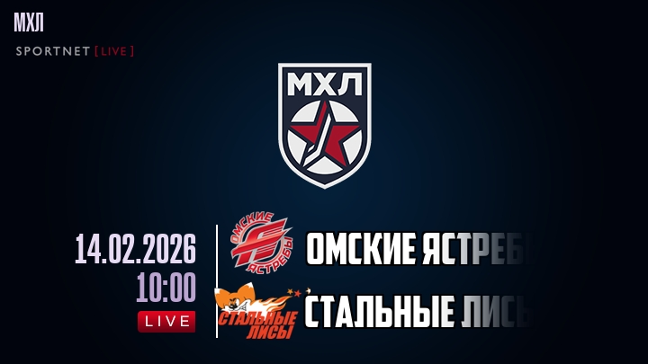 Омские Ястребы — Стальные Лисы, смотреть онлайн 14 февраля 2026