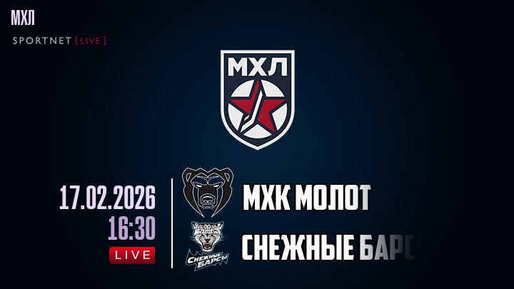 МХК Молот — Снежные Барсы, смотреть онлайн 17 февраля 2026