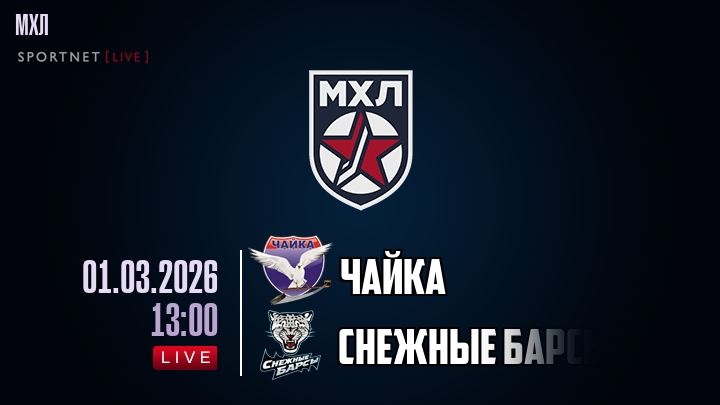 Чайка — Снежные Барсы, смотреть онлайн 1 марта 2026