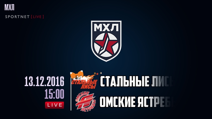 Стальные Лисы — Омские Ястребы, смотреть онлайн 13 декабря 2016