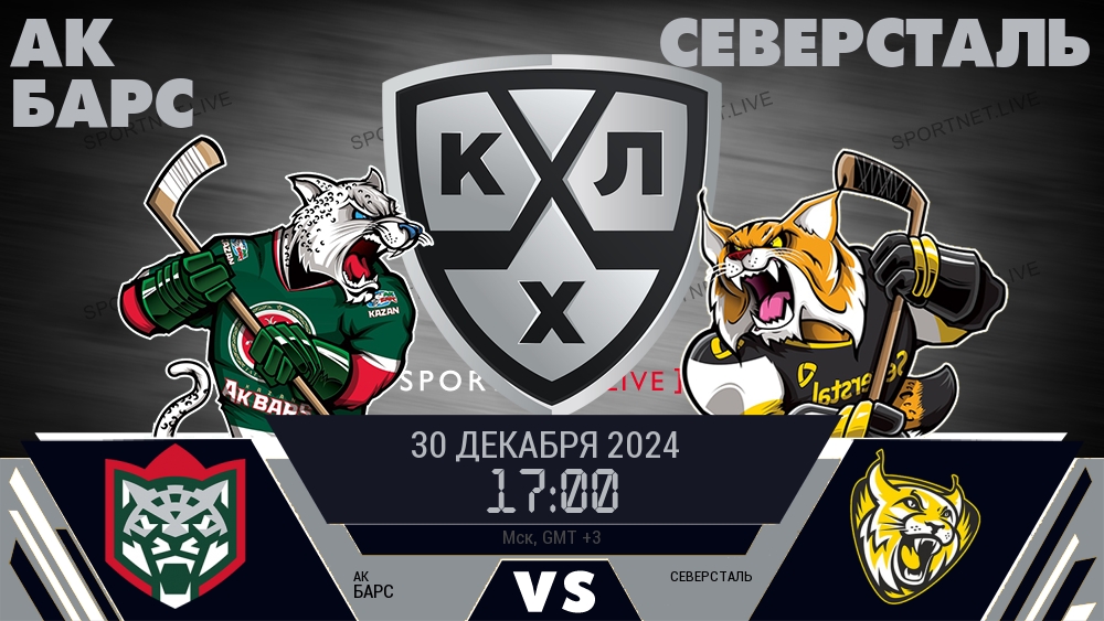 Ак Барс - Северсталь хайлайты 2024-12-30