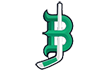лого Бейбарыс