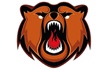 лого Кузнецкие Медведи