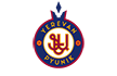 лого Пюник