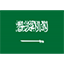 лого Саудовская Аравия