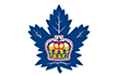 лого Торонто Марлис
