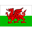 лого Уэльс