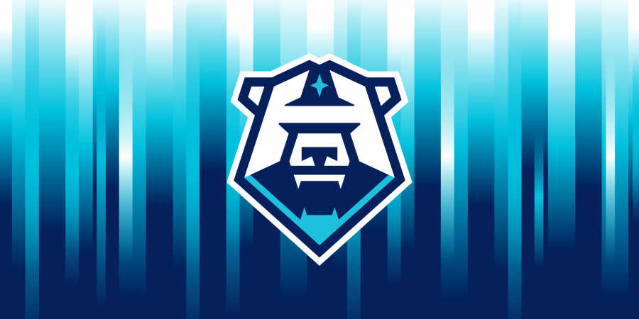 Новичок ВХЛ клуб «Норильск» представил свой логотип
